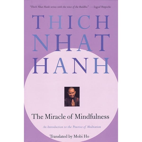 【Sale】ティクナットハンPeace in Oneself DVD6枚CD2枚 The Pocket Thich Nhat Hanh: Hanh, Thich Nhat, McLeod, Melvin